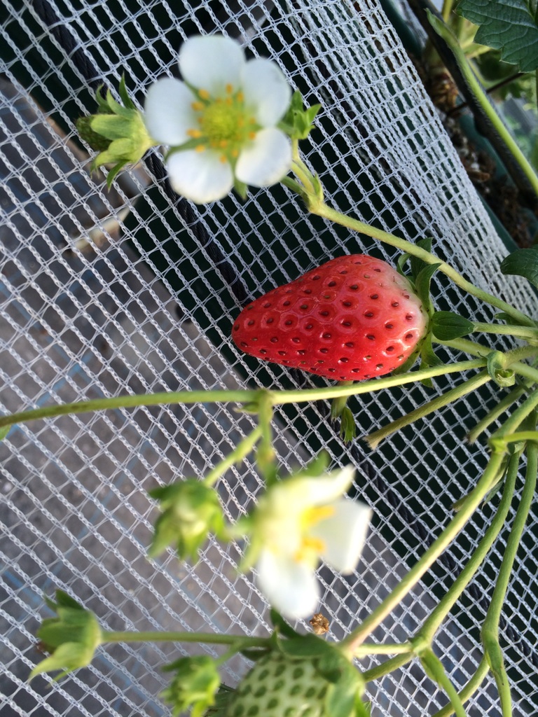 �����������I